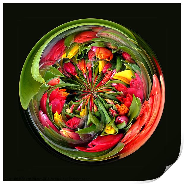 Spherical Glass Paperweight Tulips 4U Print by Robert Gipson