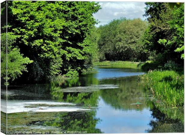 Barnsley Canal South Yorkshire Canvas Print by Tom Curtis