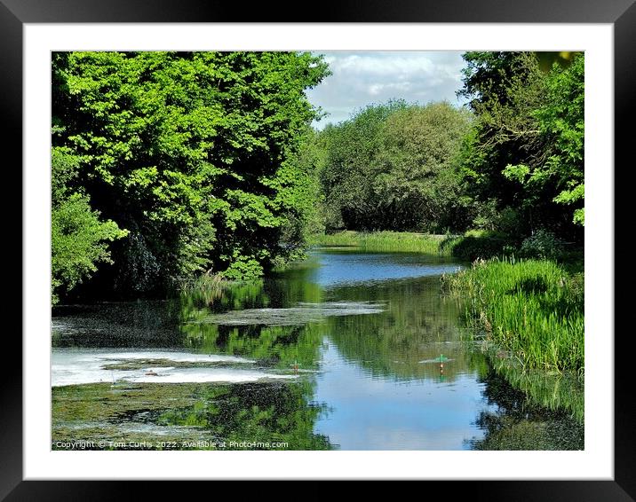 Barnsley Canal South Yorkshire Framed Mounted Print by Tom Curtis