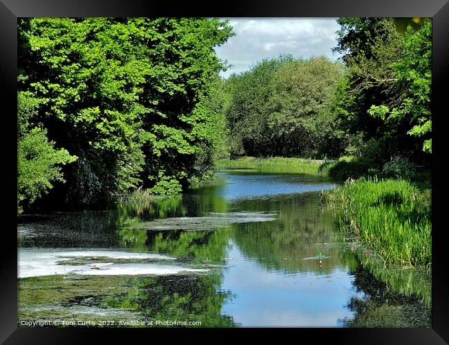 Barnsley Canal South Yorkshire Framed Print by Tom Curtis