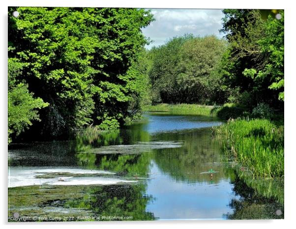 Barnsley Canal South Yorkshire Acrylic by Tom Curtis