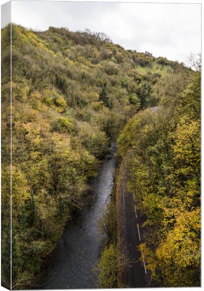 View from Millers Dale Bridge Canvas Print by Jason Wells
