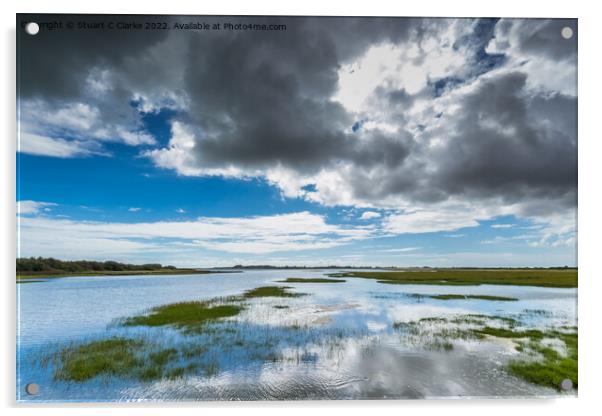 Reflections Acrylic by Stuart C Clarke