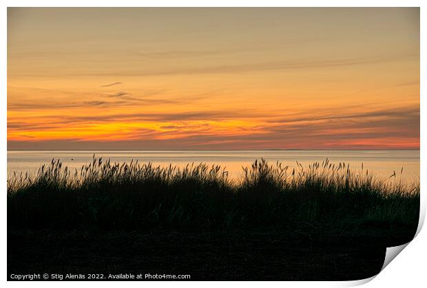 silhouett of dune grass against the sea and the ri Print by Stig Alenäs