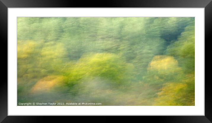 Bouncing trees Framed Mounted Print by Stephen Taylor