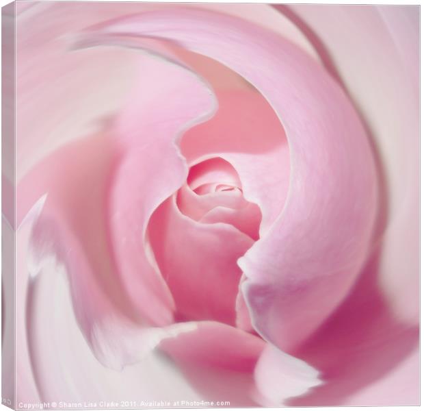 Delicate swirl of pink rose Canvas Print by Sharon Lisa Clarke
