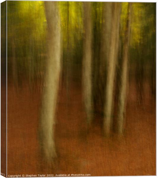 Valle de Ordesa Forest ICM Canvas Print by Stephen Taylor
