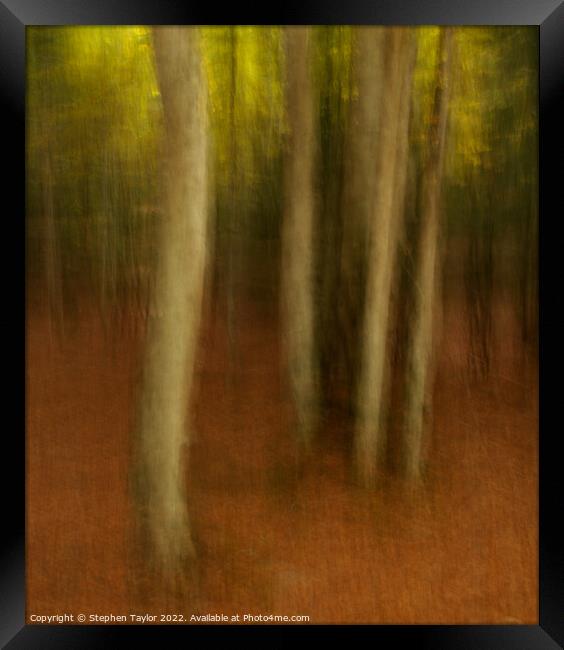 Valle de Ordesa Forest ICM Framed Print by Stephen Taylor