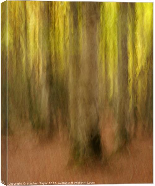 Valle de Ordesa Forest ICM Canvas Print by Stephen Taylor