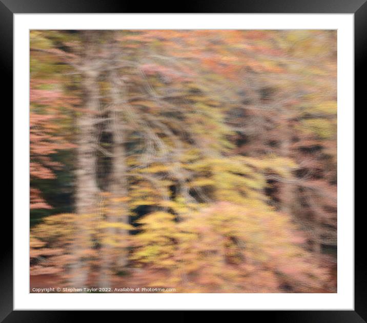 Autumn Colours Framed Mounted Print by Stephen Taylor
