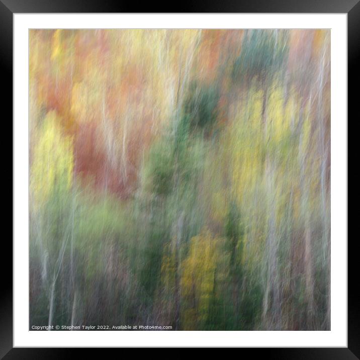 Autumn Motion Framed Mounted Print by Stephen Taylor