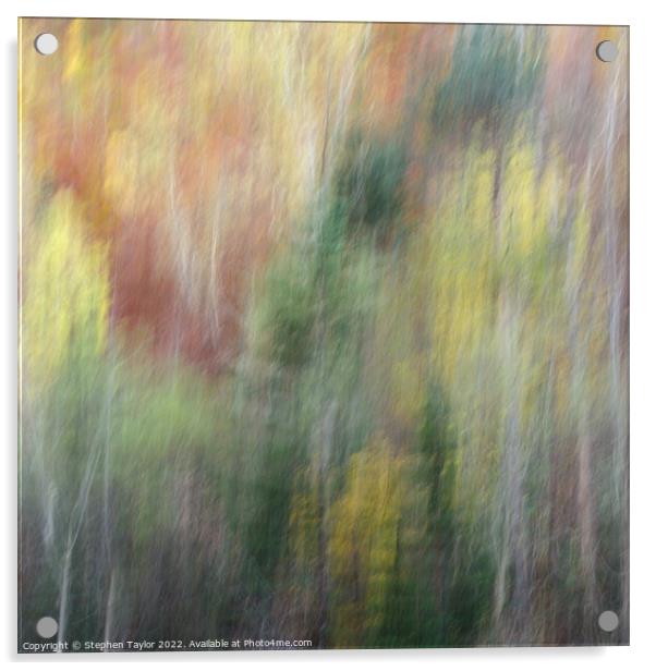 Autumn Motion Acrylic by Stephen Taylor