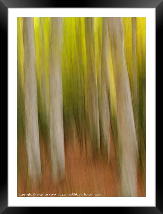 Autumn colours ICM Framed Mounted Print by Stephen Taylor