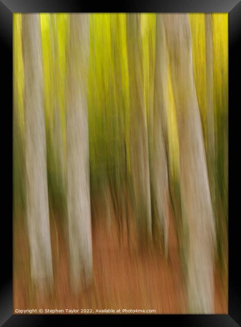 Autumn colours ICM Framed Print by Stephen Taylor