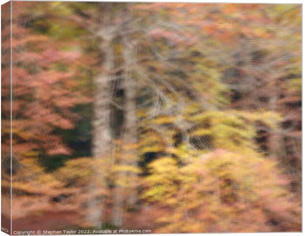 A blurry photo of a forest Canvas Print by Stephen Taylor
