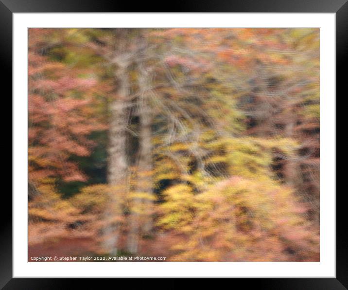 A blurry photo of a forest Framed Mounted Print by Stephen Taylor