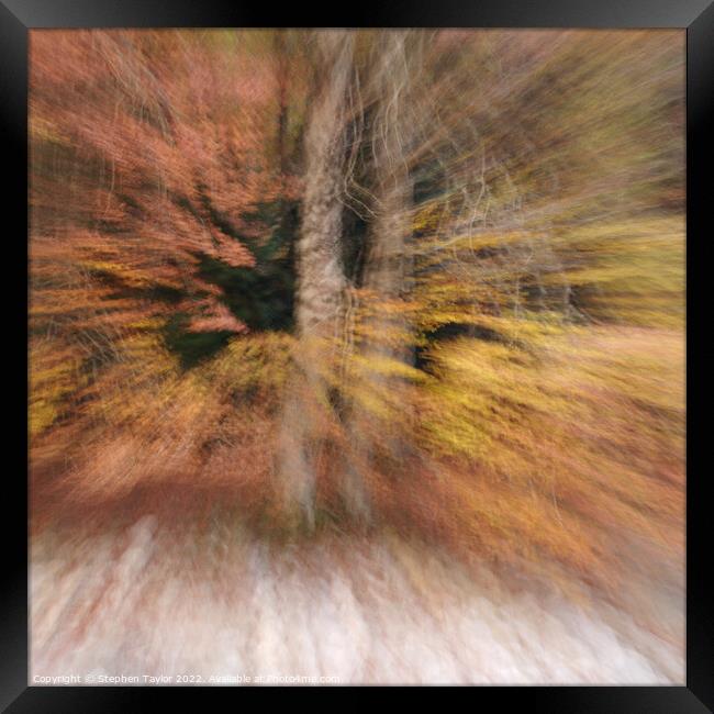 Autumn Motion Framed Print by Stephen Taylor