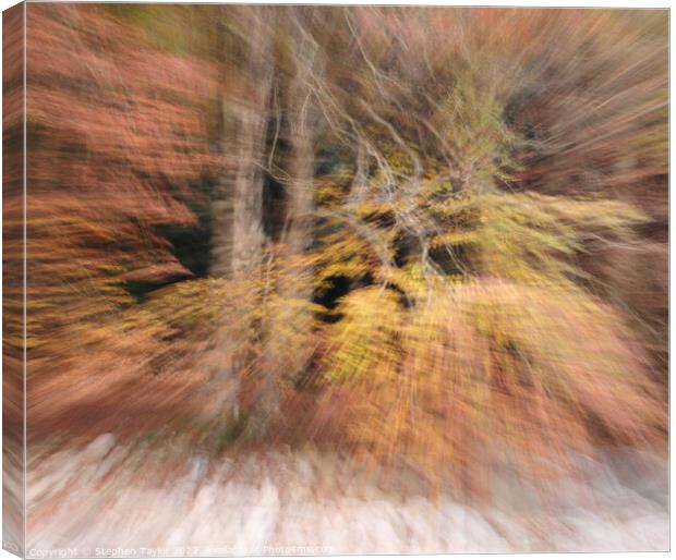 abstract autumn colours Canvas Print by Stephen Taylor