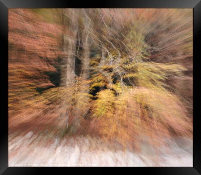 abstract autumn colours Framed Print by Stephen Taylor