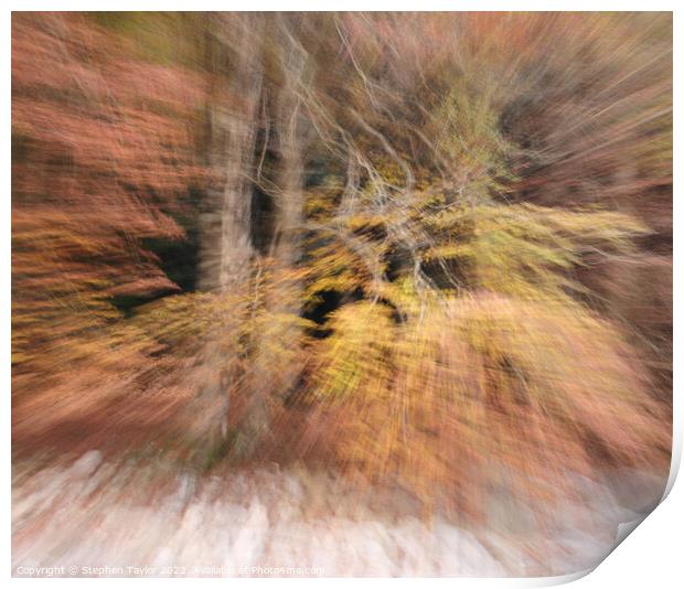 abstract autumn colours Print by Stephen Taylor