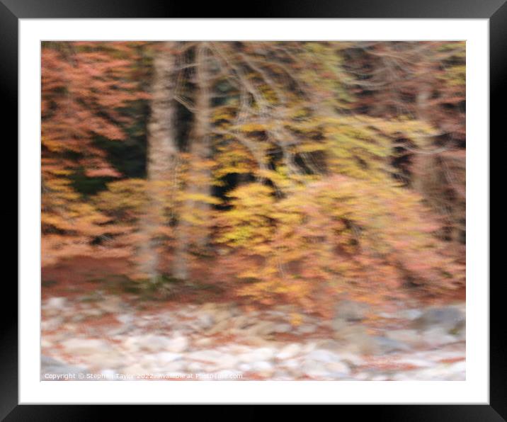 Autumn Colours ICM Framed Mounted Print by Stephen Taylor