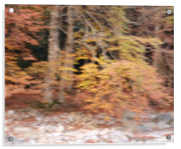 Autumn Colours ICM Acrylic by Stephen Taylor