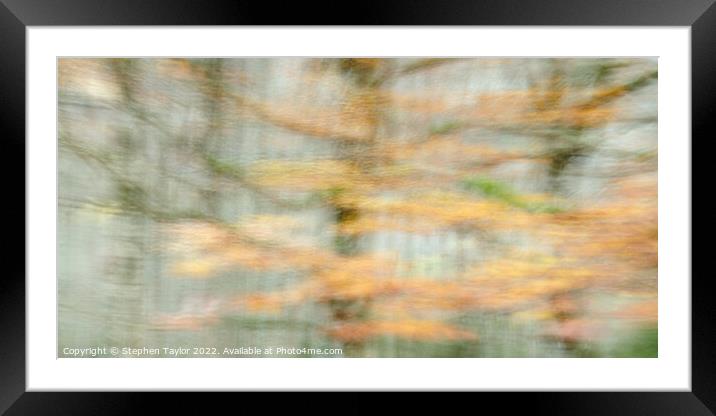 Autumn colours in Spain Framed Mounted Print by Stephen Taylor