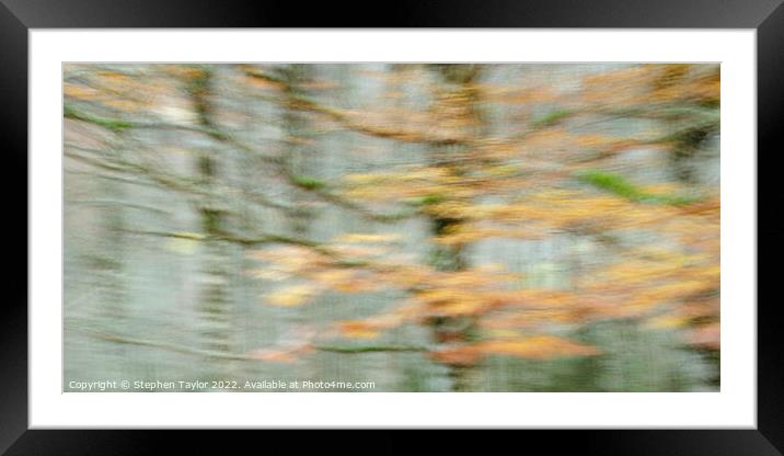 Abstract  Framed Mounted Print by Stephen Taylor