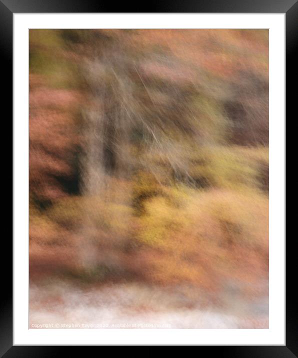Autumn Colours ICM Framed Mounted Print by Stephen Taylor