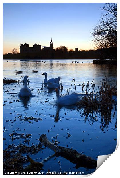 Linlithgow Palace sunrise Print by Craig Brown