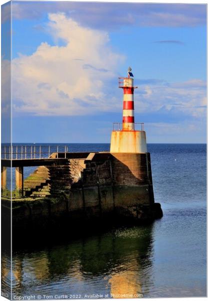 Lighthouse at Amble Northumberland Canvas Print by Tom Curtis