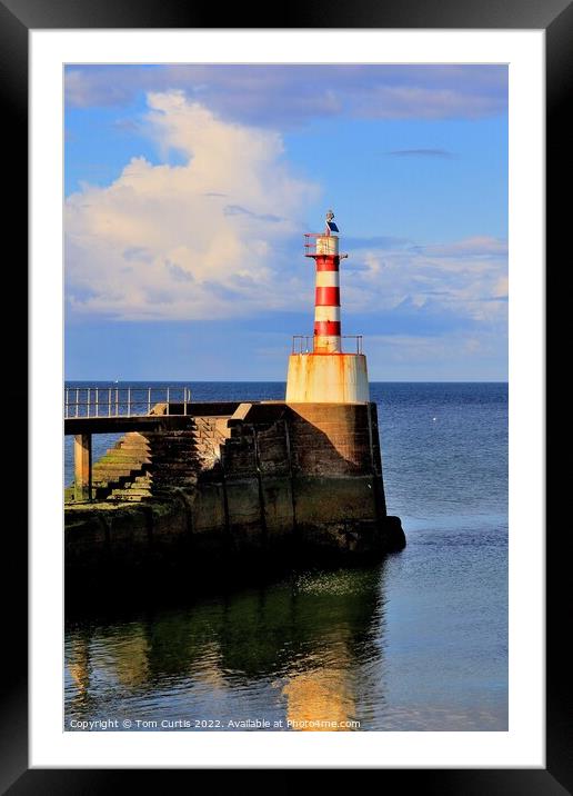 Lighthouse at Amble Northumberland Framed Mounted Print by Tom Curtis