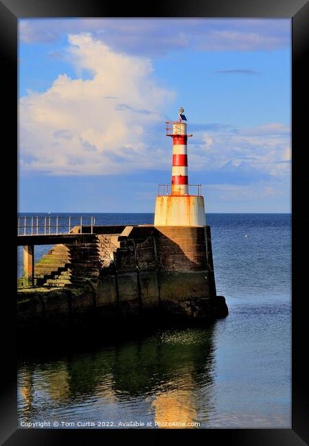 Lighthouse at Amble Northumberland Framed Print by Tom Curtis