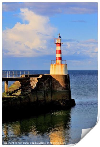 Lighthouse at Amble Northumberland Print by Tom Curtis
