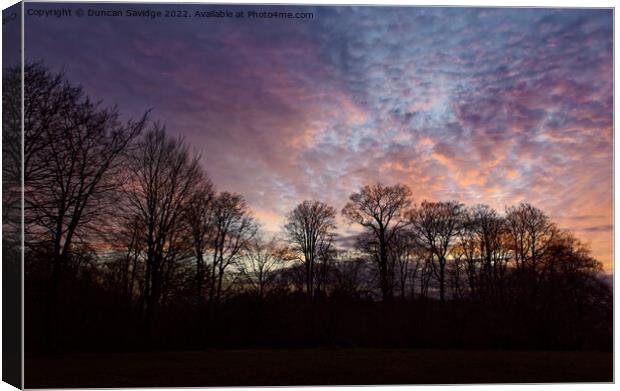 Sunset at Heaven's Gate Longleat trees silhouette  Canvas Print by Duncan Savidge