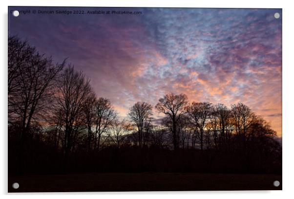 Sunset at Heaven's Gate Longleat trees silhouette  Acrylic by Duncan Savidge