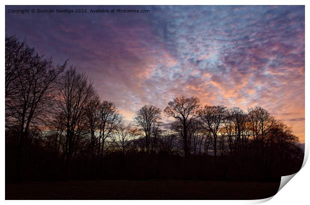 Sunset at Heaven's Gate Longleat trees silhouette  Print by Duncan Savidge