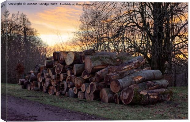 Pile of logs at Heaven's Gate Longleat  Canvas Print by Duncan Savidge
