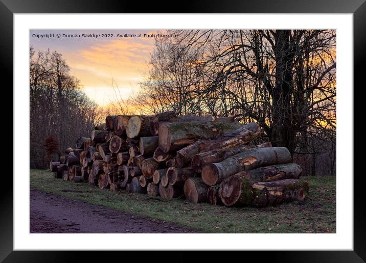 Pile of logs at Heaven's Gate Longleat  Framed Mounted Print by Duncan Savidge