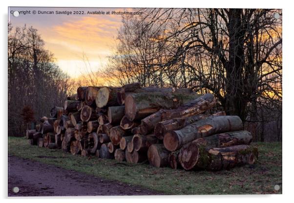 Pile of logs at Heaven's Gate Longleat  Acrylic by Duncan Savidge