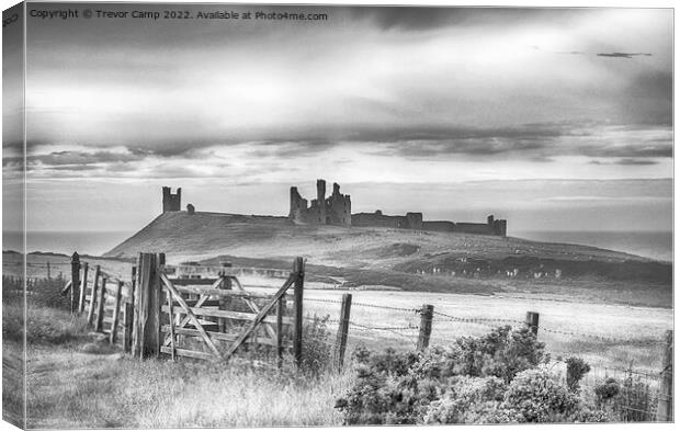 The Road to Dunstanburgh - Toned Canvas Print by Trevor Camp