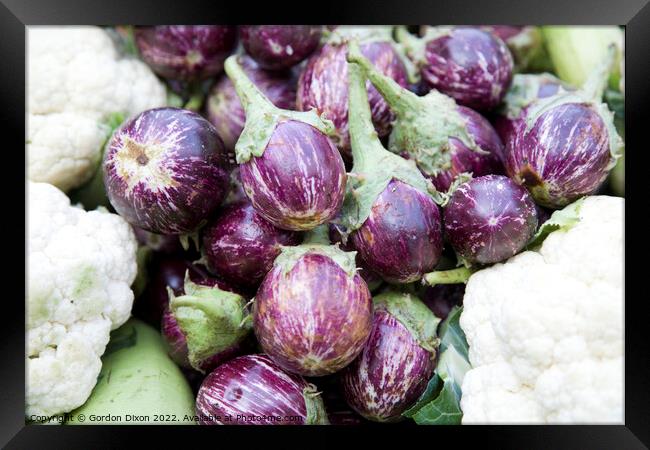 Aubergines or Brinjals bordered by cauliflowers on a vegetable stall in Mumbai Framed Print by Gordon Dixon