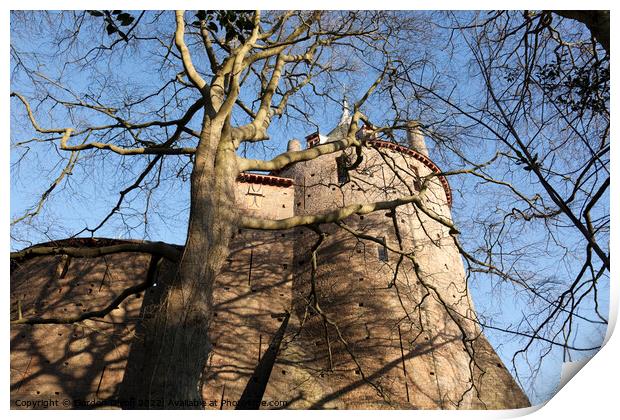 Tree casts shadows over the walls of the fairy-tale Castle Coch in South Wales Print by Gordon Dixon