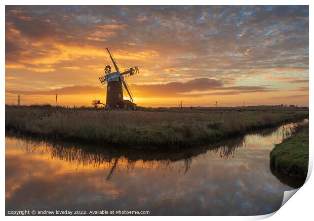 Horsey Mill Print by andrew loveday