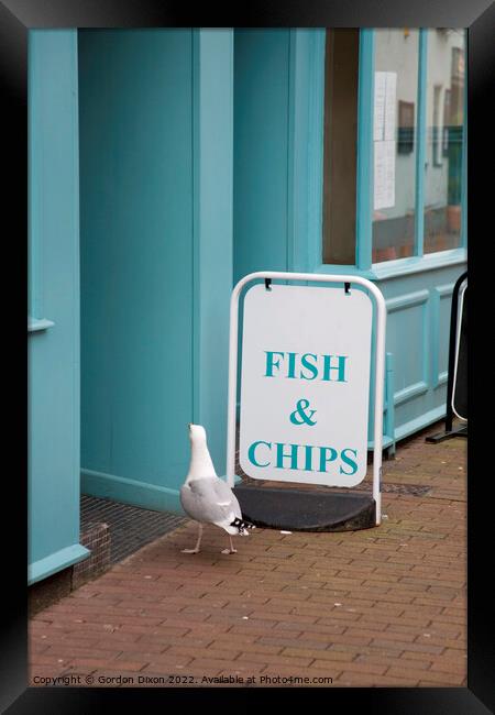 A seagull walking into a fish and chip shop in Sidmouth, Devon  Framed Print by Gordon Dixon