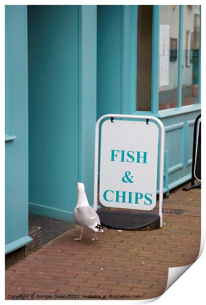 A seagull walking into a fish and chip shop in Sidmouth, Devon  Print by Gordon Dixon