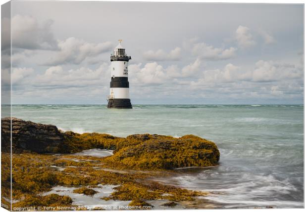 A Majestic Beacon of Safety Canvas Print by Terry Newman