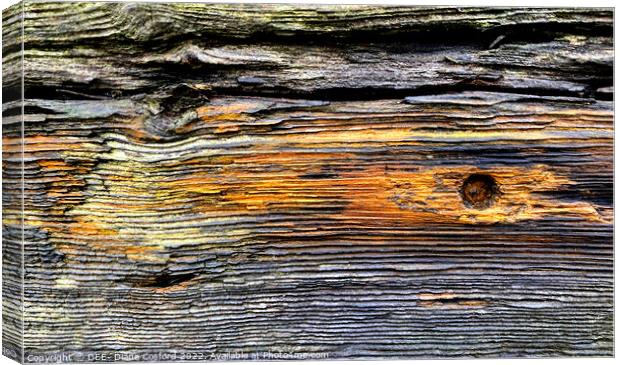 Timber Times 43                        Canvas Print by DEE- Diana Cosford