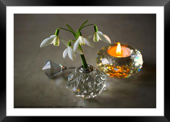 Snowdrops and Candlelight  Framed Mounted Print by Alison Chambers