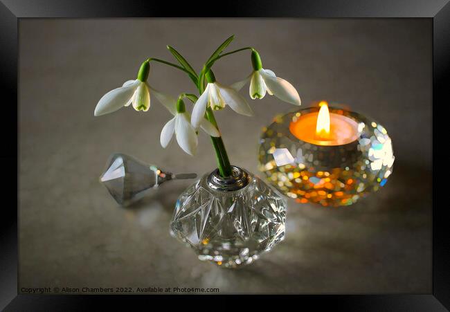 Snowdrops and Candlelight  Framed Print by Alison Chambers